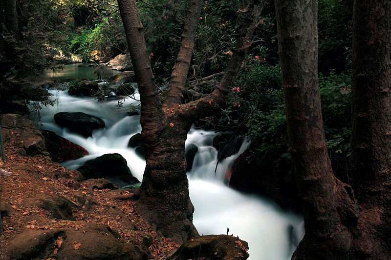 אילוסטרציה