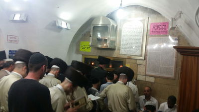 חסידי תולדות אהרן מתפללים בקבר הרשב"י לרפואת החתן הפצוע