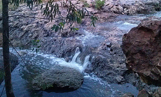 בגלל הגשמים: זרימה בנחל אלעד • תיעוד