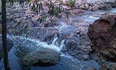 בגלל הגשמים: זרימה בנחל אלעד • תיעוד