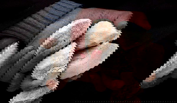 אילוסטרציה