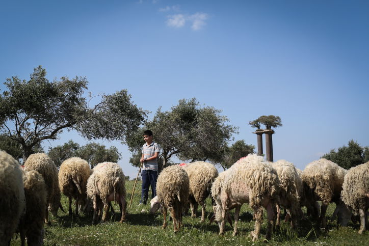 אילוסטרציה