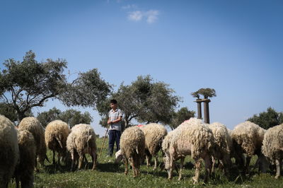 אילוסטרציה