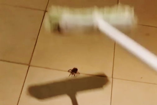 רגע לפני שהסיוט התחיל