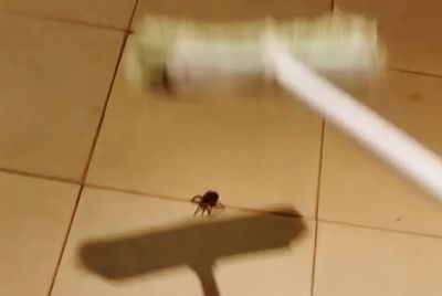 רגע לפני שהסיוט התחיל