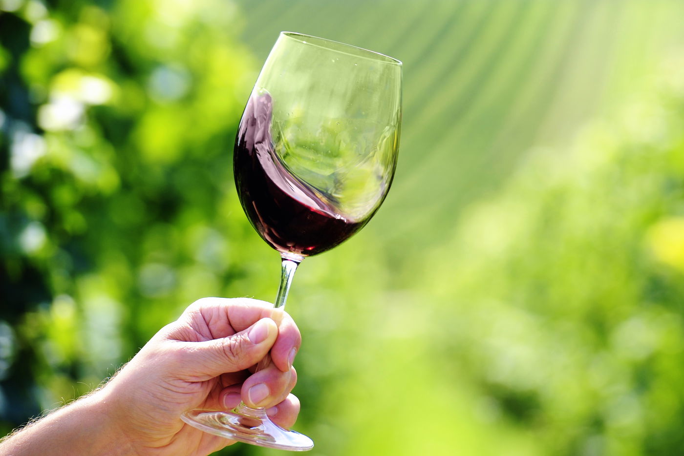 יש לכוס רגל כדי להשתמש בה. ורק בה