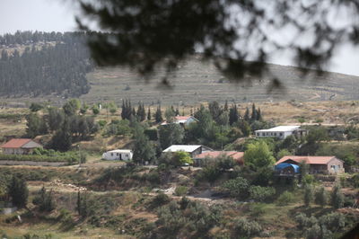 התנחלות בת עין