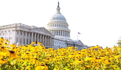 היום: הסנאט ידון ב'חוק איראן'