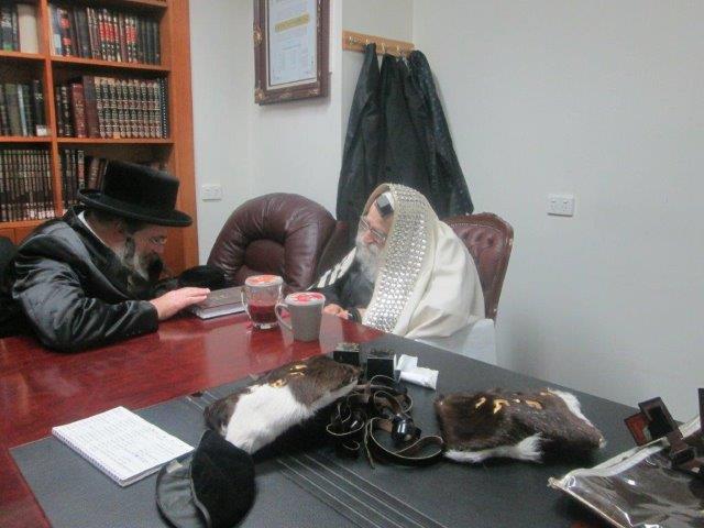 גלריה: ביקור האדמו"ר מ"חוג חתם סופר" באוסטרליה