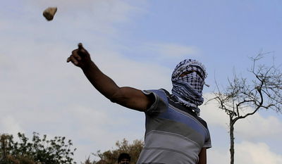 מפגין מפלסטיני, אילוסטרציה