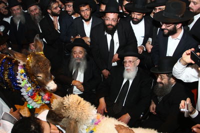 הגר"ש כהן במעמד