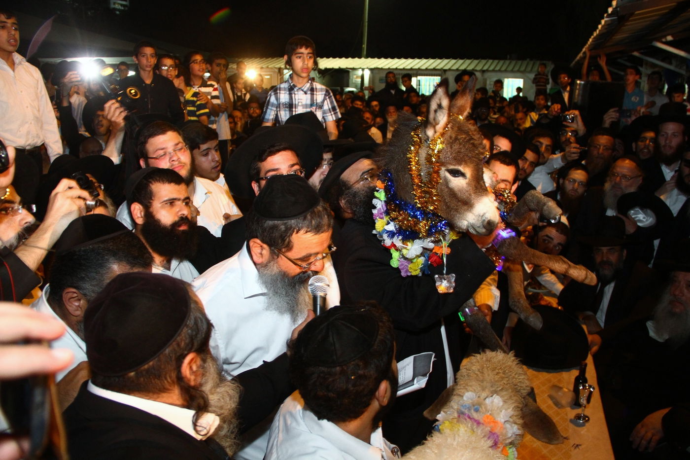 גלריה: נשיא המועצת הגר"ש כהן ב'פדיון פטר חמור'