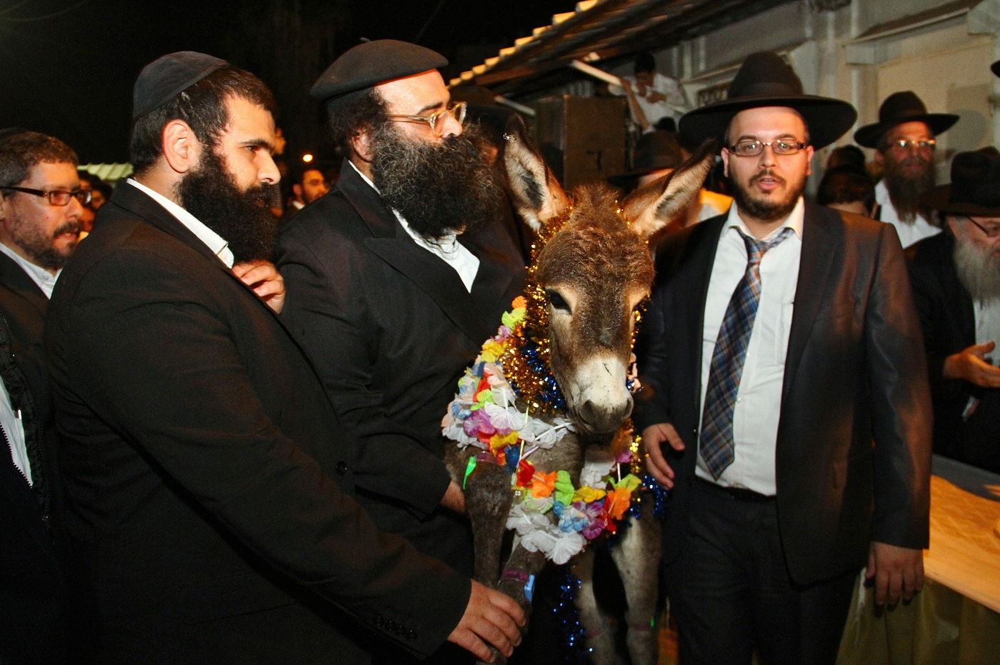 גלריה: נשיא המועצת הגר"ש כהן ב'פדיון פטר חמור'