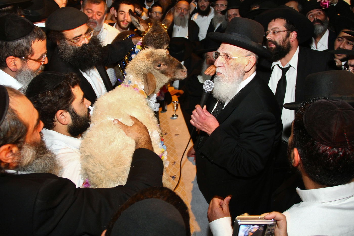 גלריה: נשיא המועצת הגר"ש כהן ב'פדיון פטר חמור'