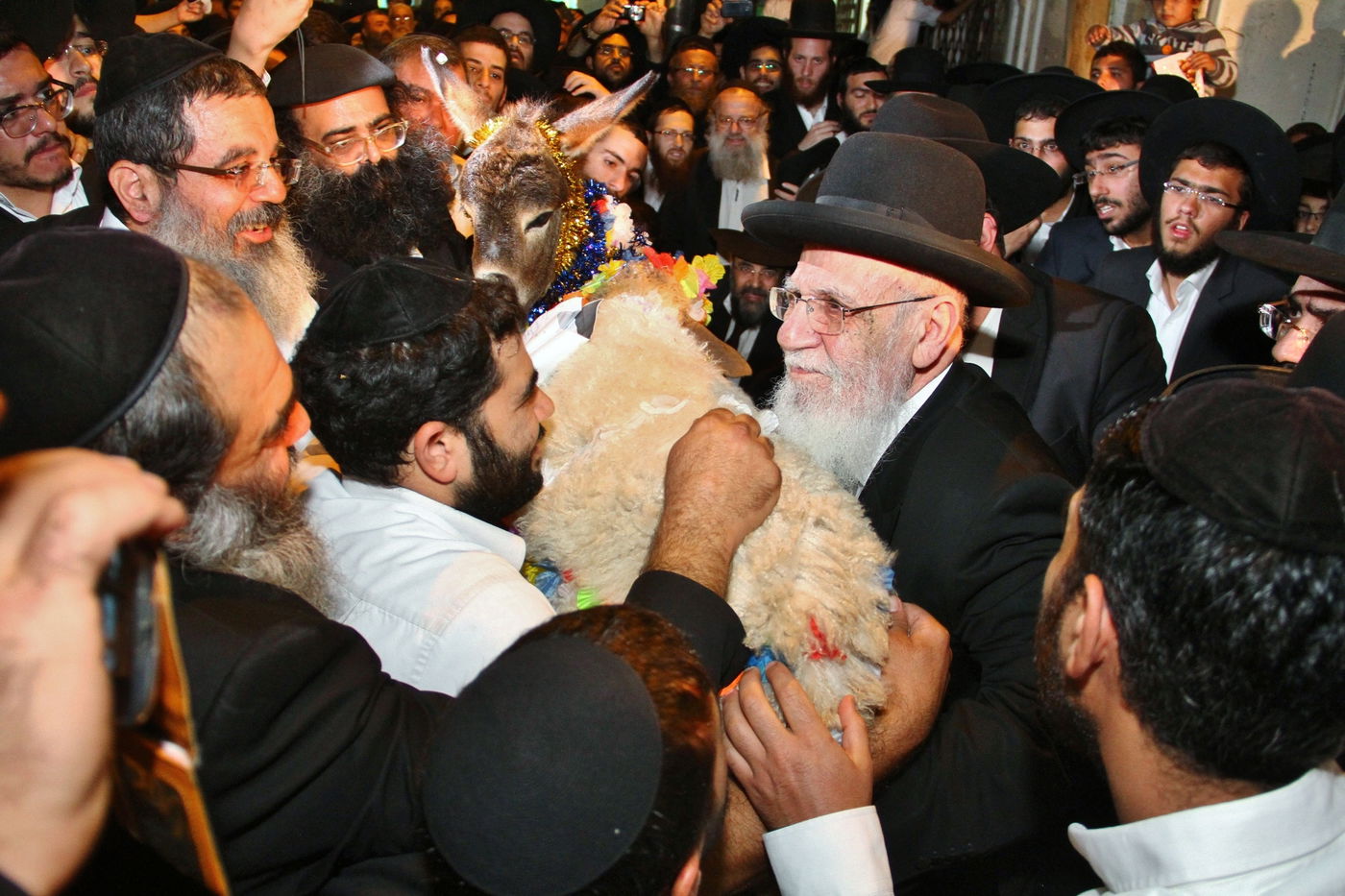 גלריה: נשיא המועצת הגר"ש כהן ב'פדיון פטר חמור'