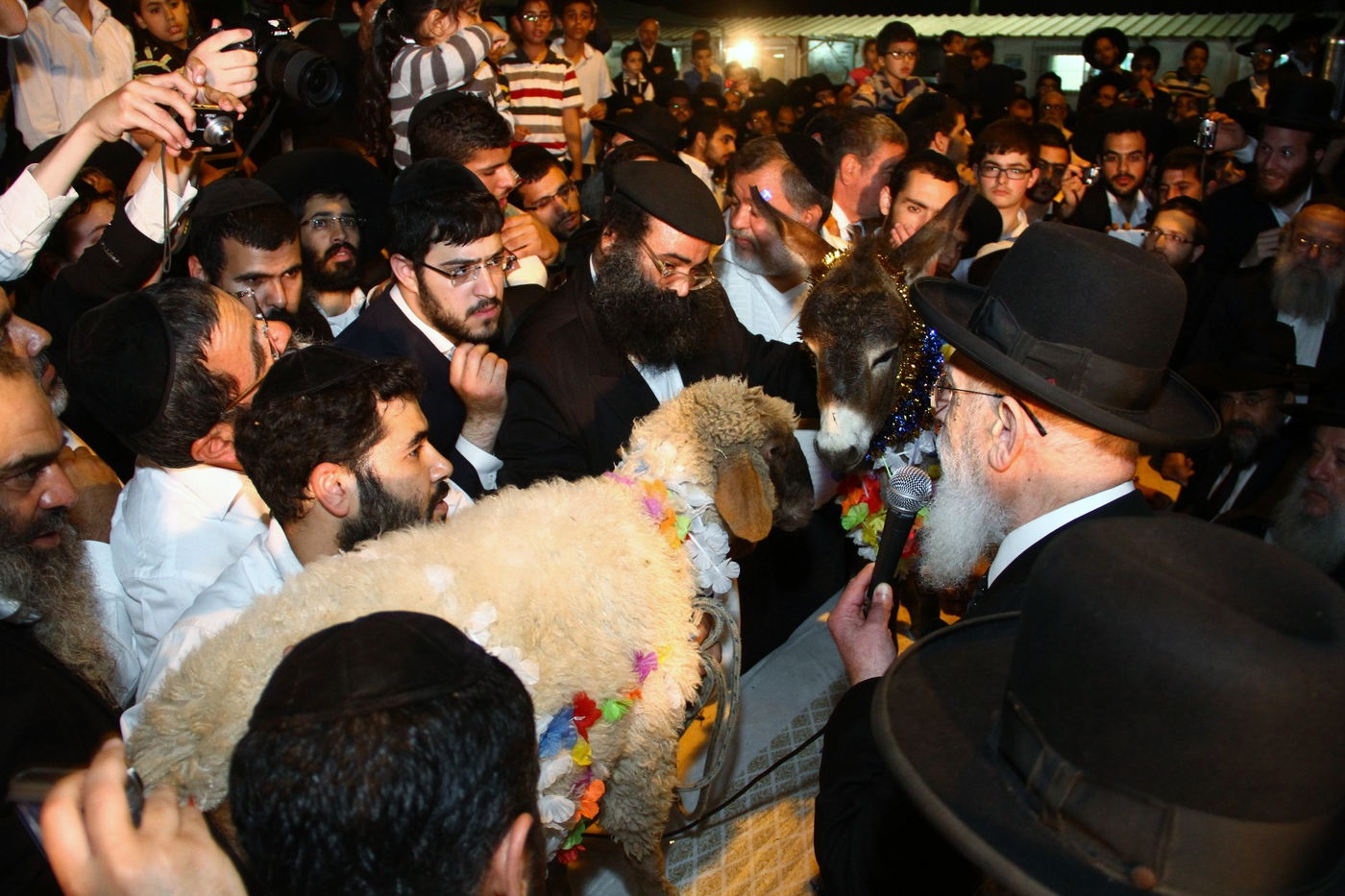 גלריה: נשיא המועצת הגר"ש כהן ב'פדיון פטר חמור'