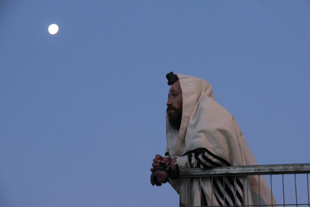 רבבות חוגגים ומתפללים בציון הרשב"י • תיעוד ענק