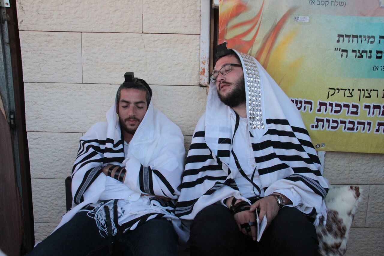 רבבות חוגגים ומתפללים בציון הרשב"י • תיעוד ענק