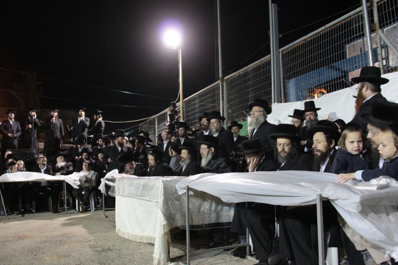 רבבות חוגגים ומתפללים בציון הרשב"י • תיעוד ענק