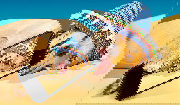 אילוסטרציה