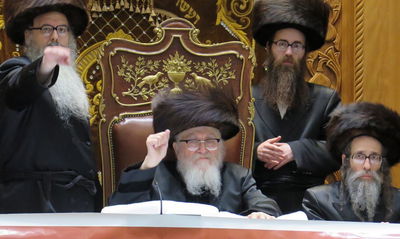 סיום חגיגי של ה"תורי זהב" בסקווירא • צפו בגלריה