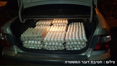 180 תבניות ביצים מוברחות נתפסו