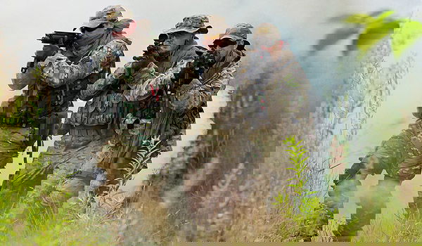 כוחות מיוחדים, אילוסטרציה