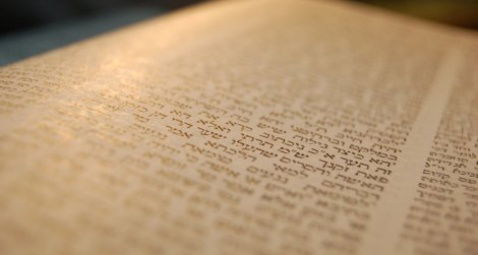 הדף היומי: מס' כתובות דף ק"ד יום ראשון כ"ח אייר