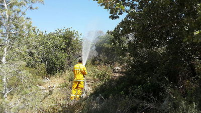 וואדי ערה: מטוסי כיבוי פועלים לכיבוי שריפה