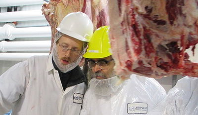 תיעוד: הרבי מסאטמר קפץ לביקור במשחטה של החסידות