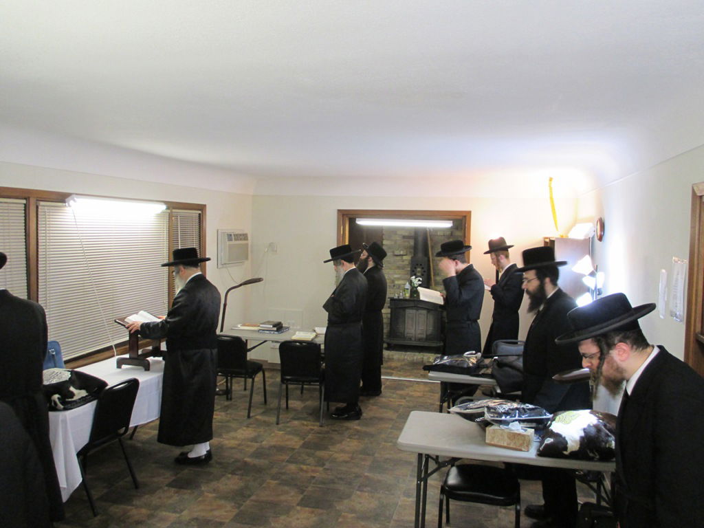 צילום מערכת בחצרות