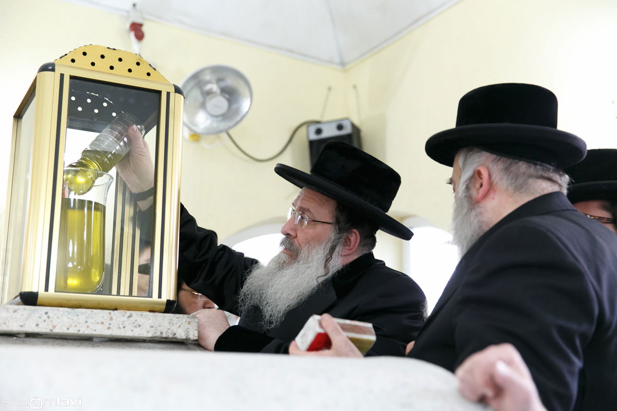 תיעוד ענק: הרבי מנדבורנה הכניס ספר תורה באוקראינה