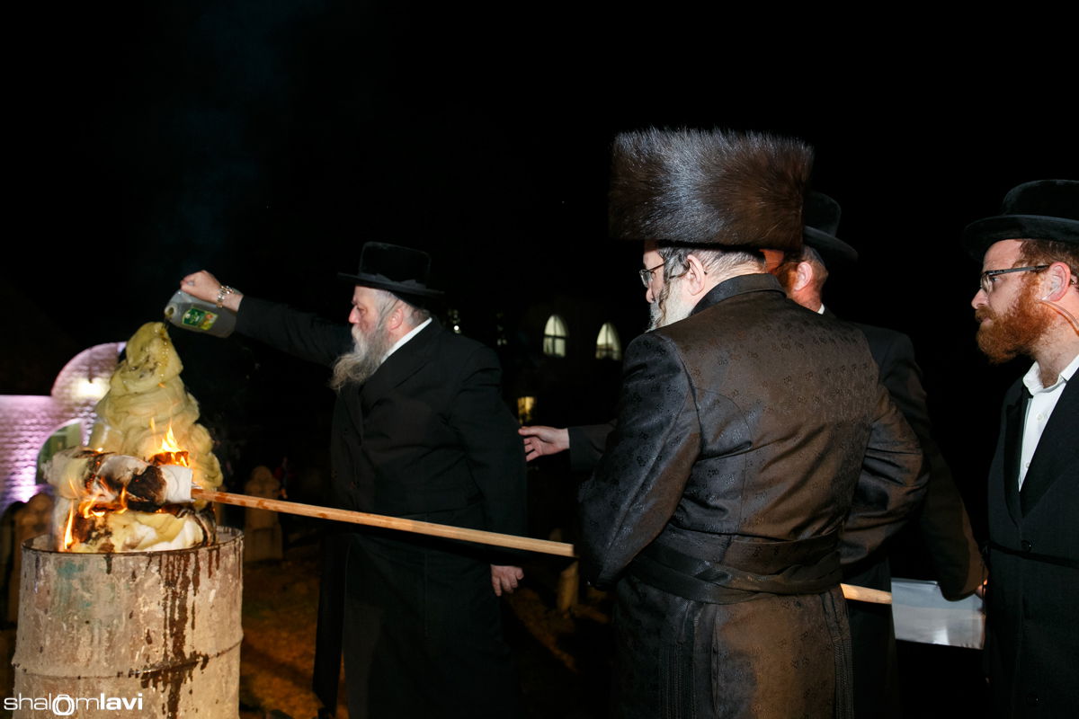 תיעוד ענק: הרבי מנדבורנה הכניס ספר תורה באוקראינה