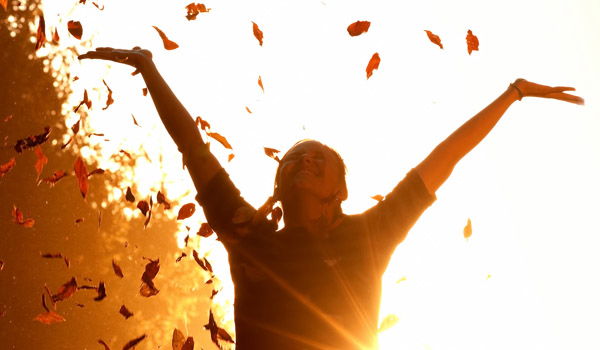 סוד החיים: דע מאין באת וממה אתה פוחד