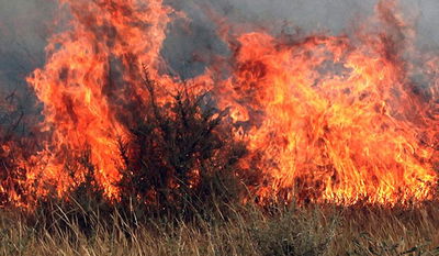 שריפה, היום