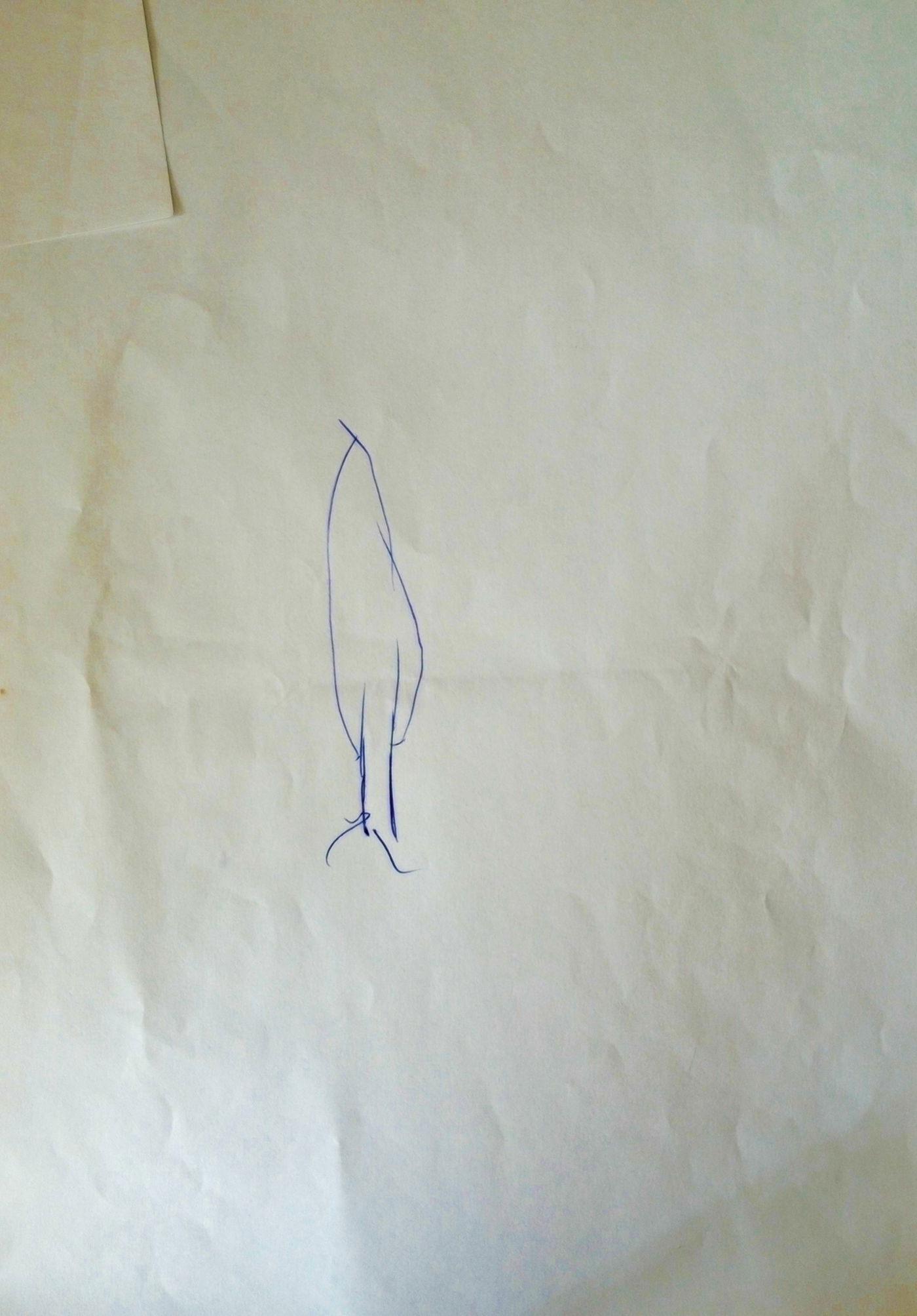 ציור העץ של הנער