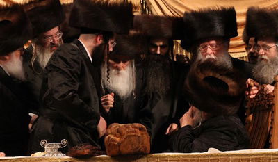 לחיצת היד הנדירה בחתונה בין האדמו"ר מבעלזא (מימין) לאדמו"ר ממחנובקא