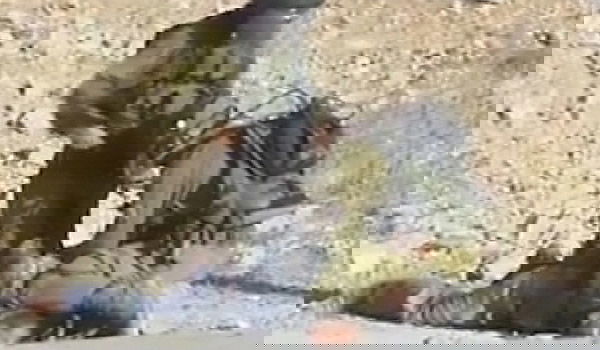 החיילים שתועדו מכים פלסטיני - נענשו