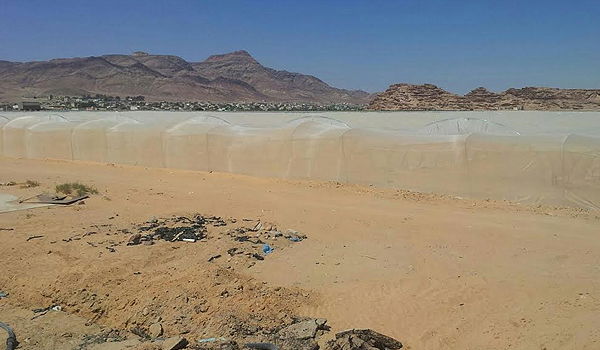 החממות בהן הוכו המשגיחים