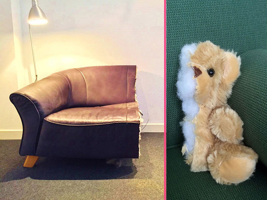 הספה והדובי חתוכים בדיוק מרהיב