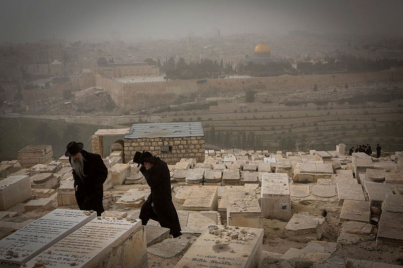 הר הזיתים. אילוסטרציה
