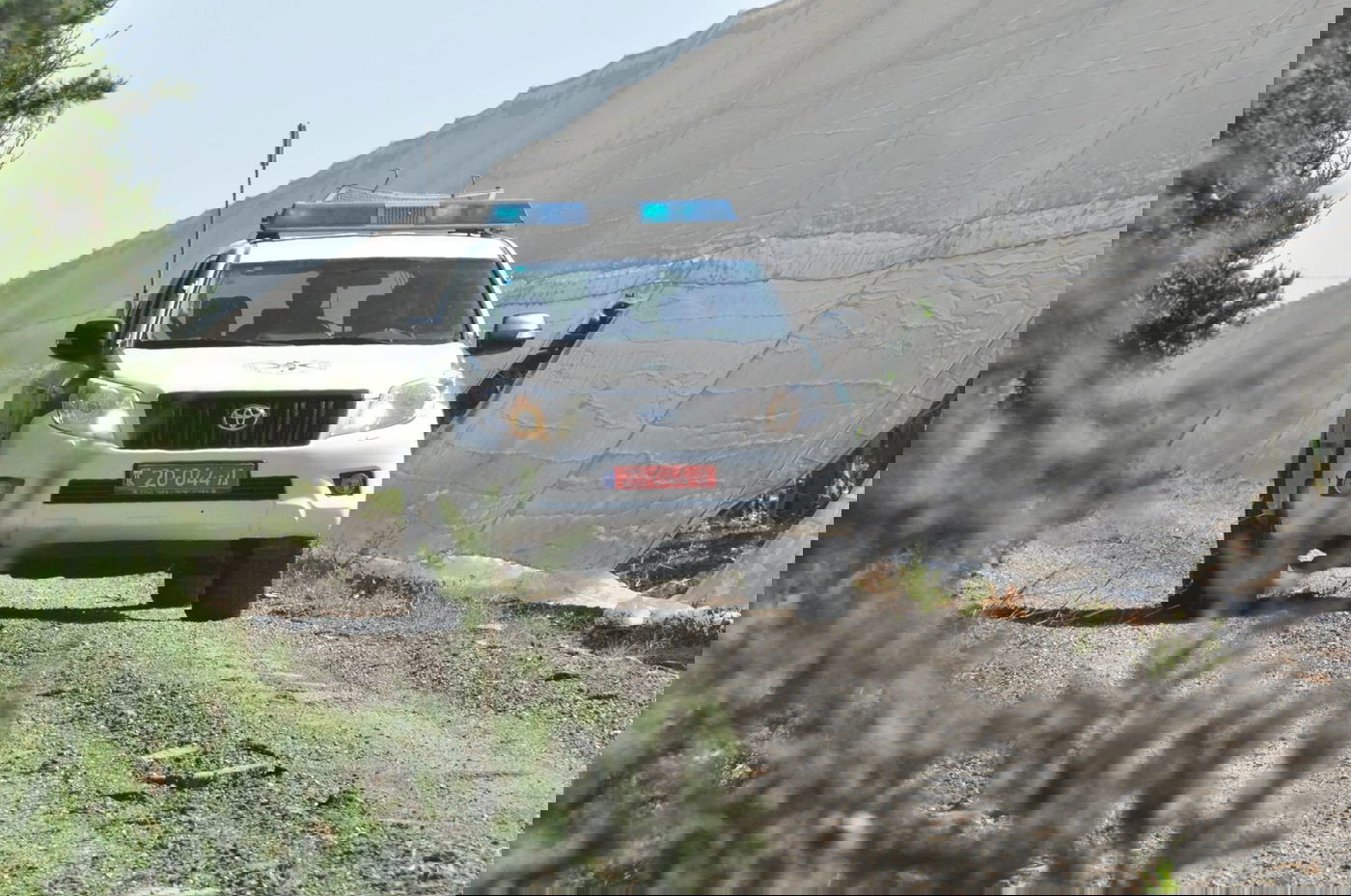 אילוסטרציה