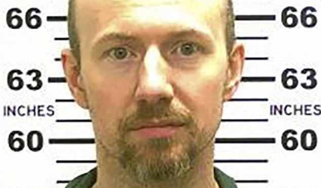 דיוויד סוויט