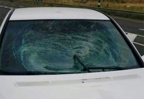 הרכב הפוגע הבוקר