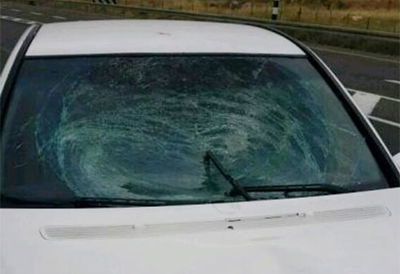 הרכב הפוגע הבוקר