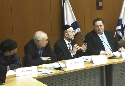 השדולה לתחבורה ציבורית, היום