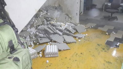 הביצים שנתפסו