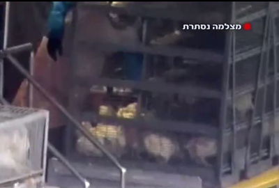 צעיר נעצר בחשד למעורבות בהתעללות ב"זוגלובק"