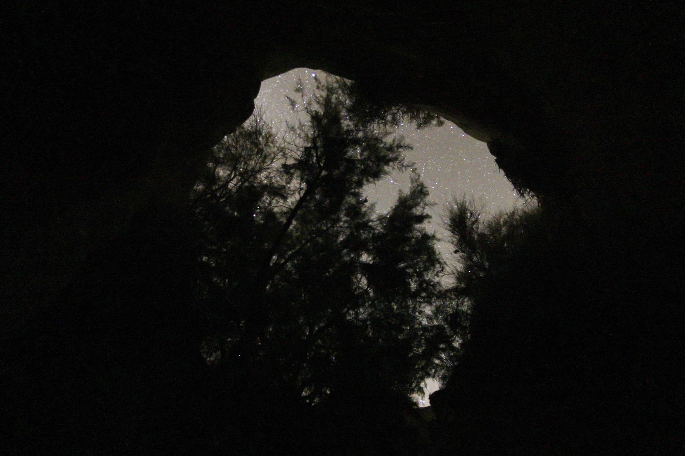 תיעוד מרהיב: שביל החלב מזווית המדבר