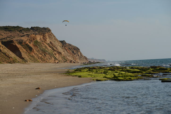 אילוסטרציה
